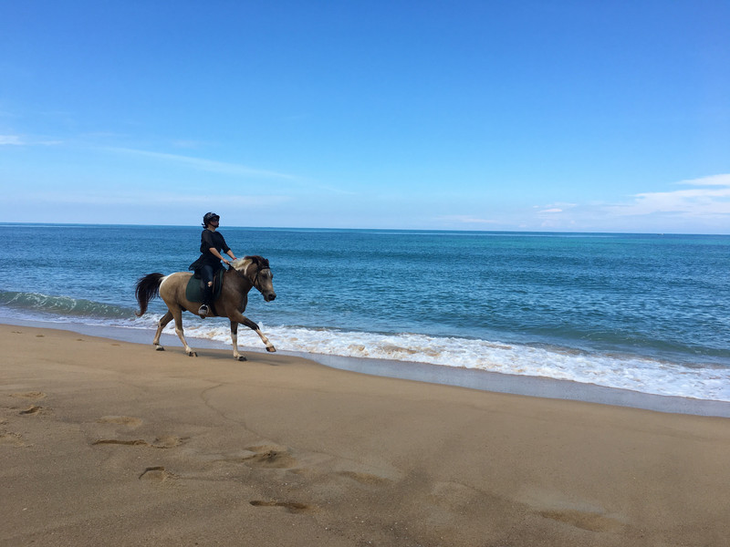 还有海边骑马,帅气!