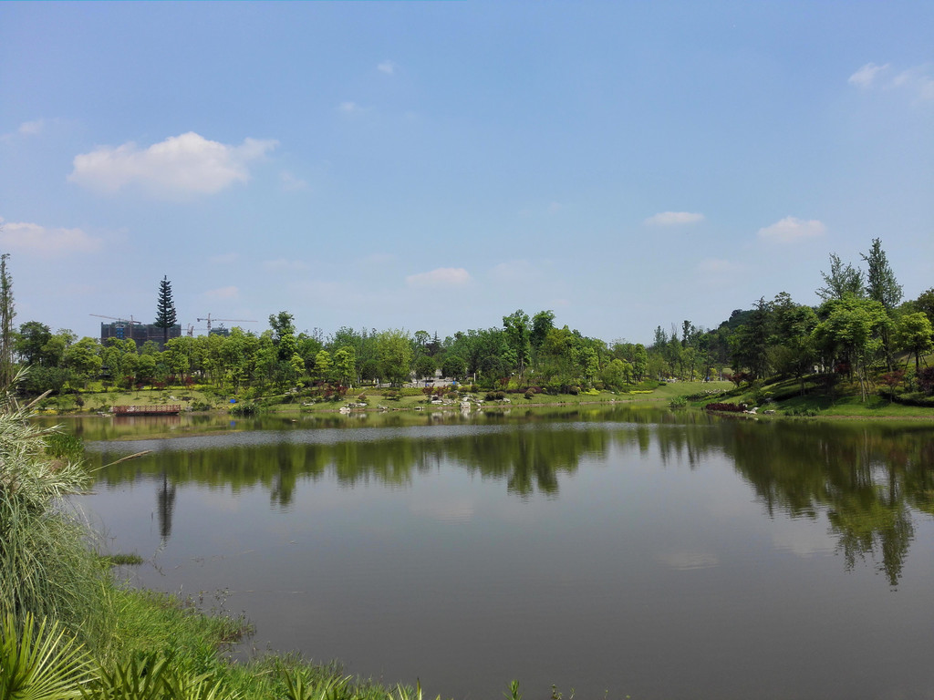 初夏的卧龙湖湿地公园 - 自贡游记攻略【携程攻略】