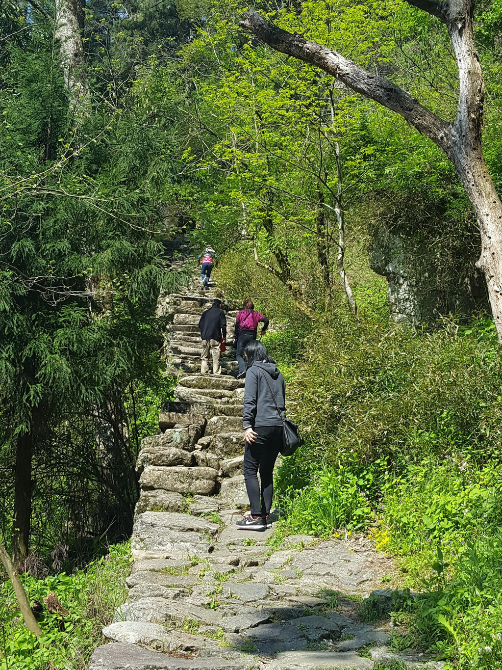 步行游玩西天目山景区