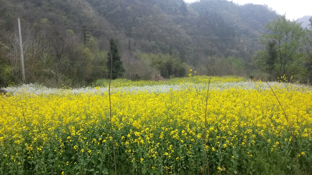 锦绣游:远安