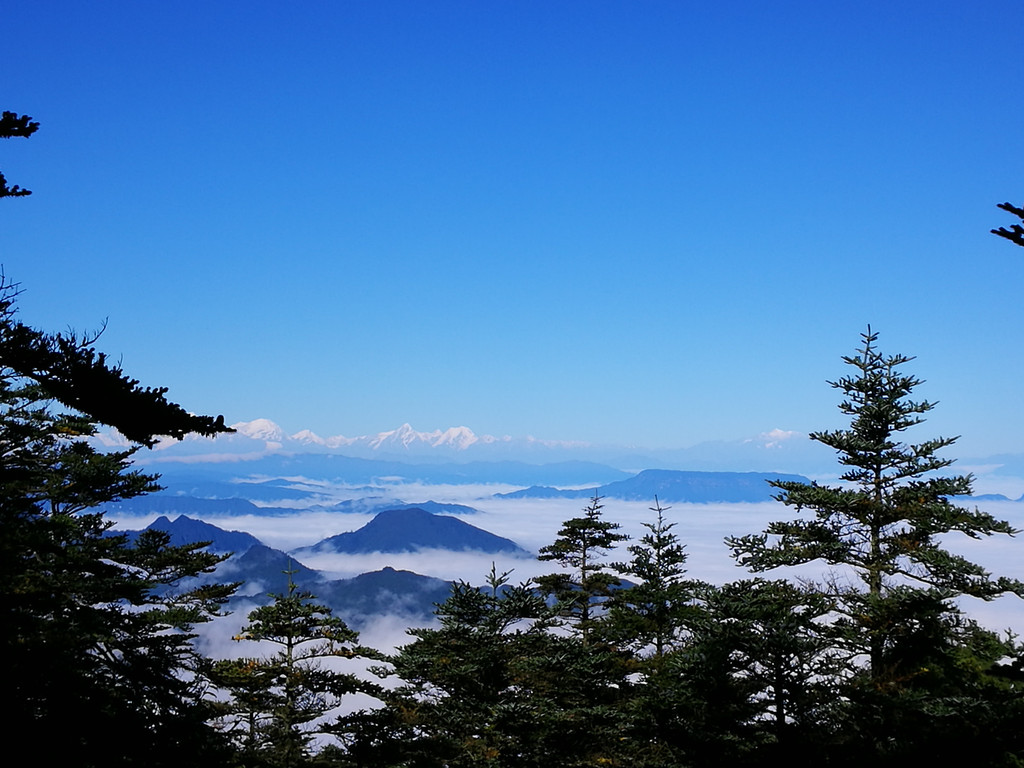 今天,峨眉山金顶的天气超好,本来以为是小雨的(天气预报,近段时间都