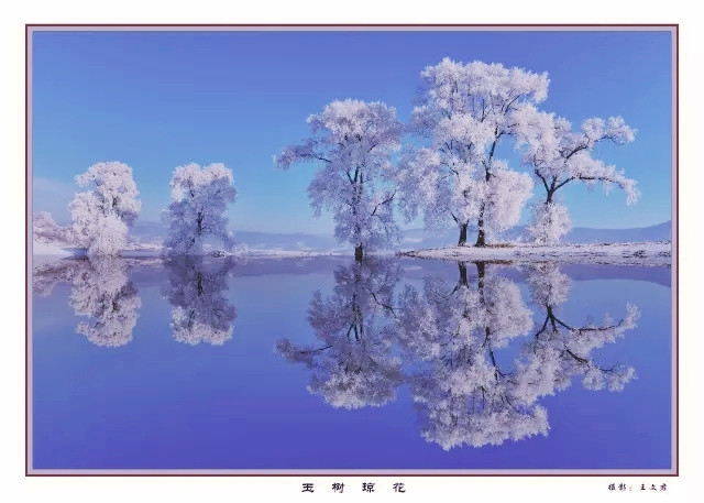 宛如仙姝临降,雪色如裳,漫漫江堤,披银戴玉,玉树琼花