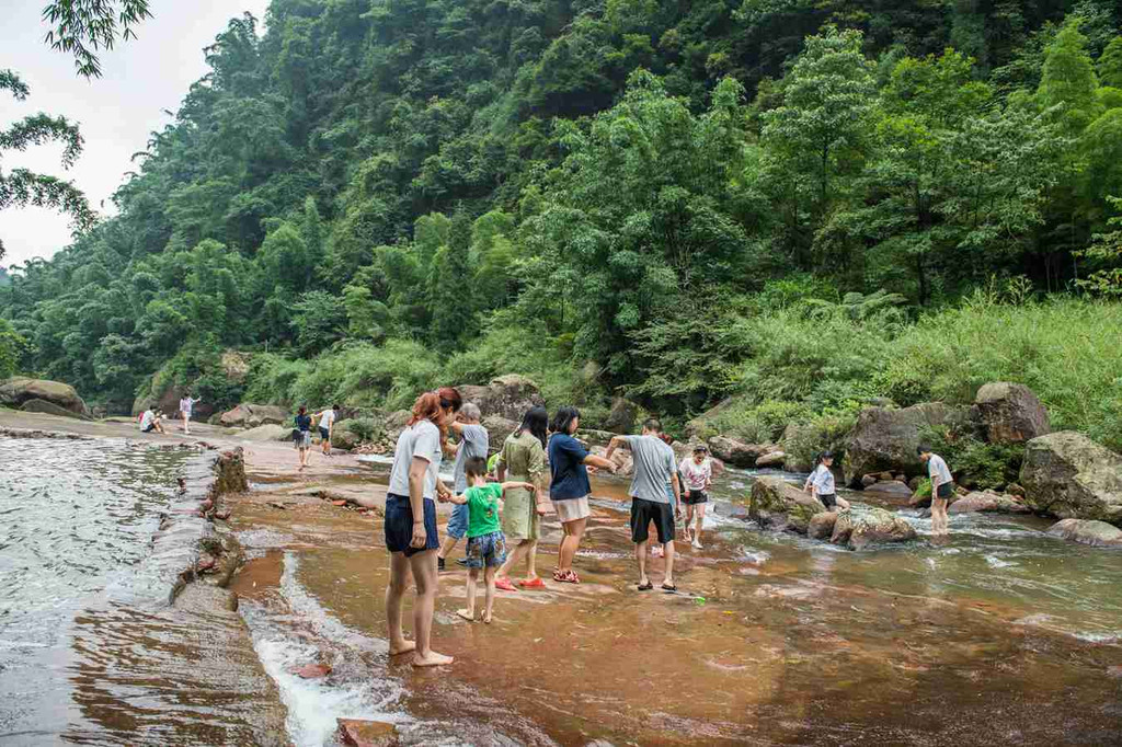 西溪,画稿溪迎来游客高峰!