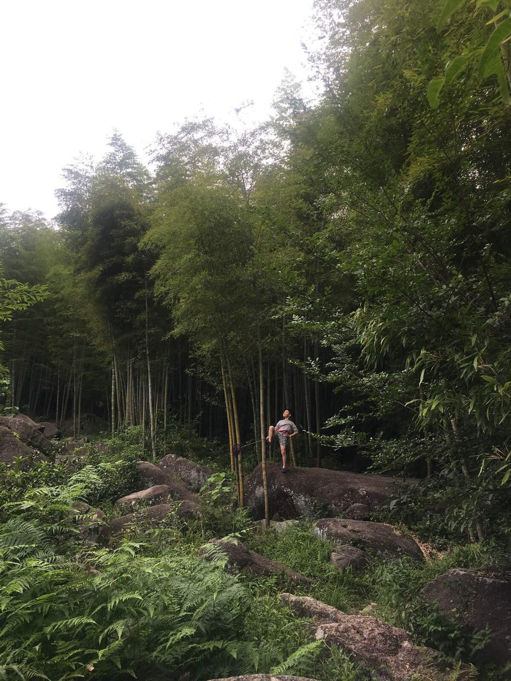 鸬鸟山沟沟茅塘景区