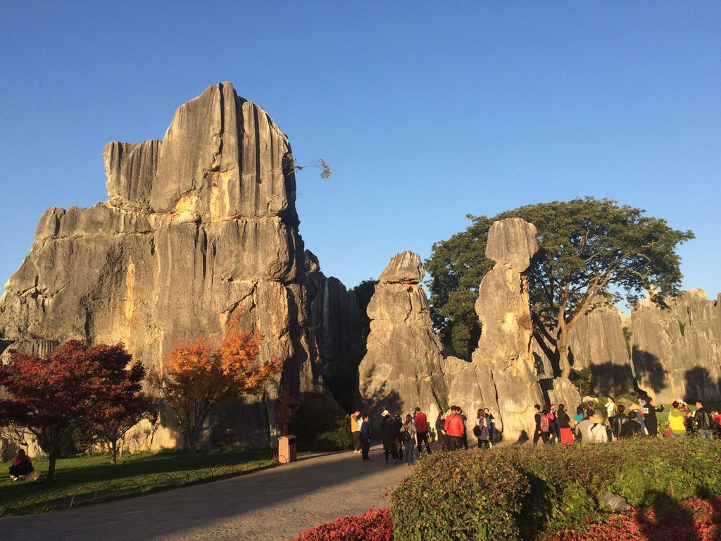 昆明|不可错过的石林风景-2024石林旅游榜单-石林必体验-自助游攻略-去哪儿攻略