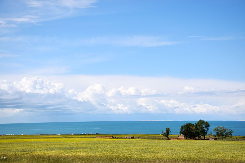 其实要看青海湖何必一定要到景区,沿路到处是这样的美景.