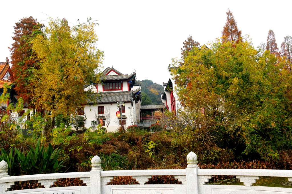 灵气盈溢的武汉景德寺