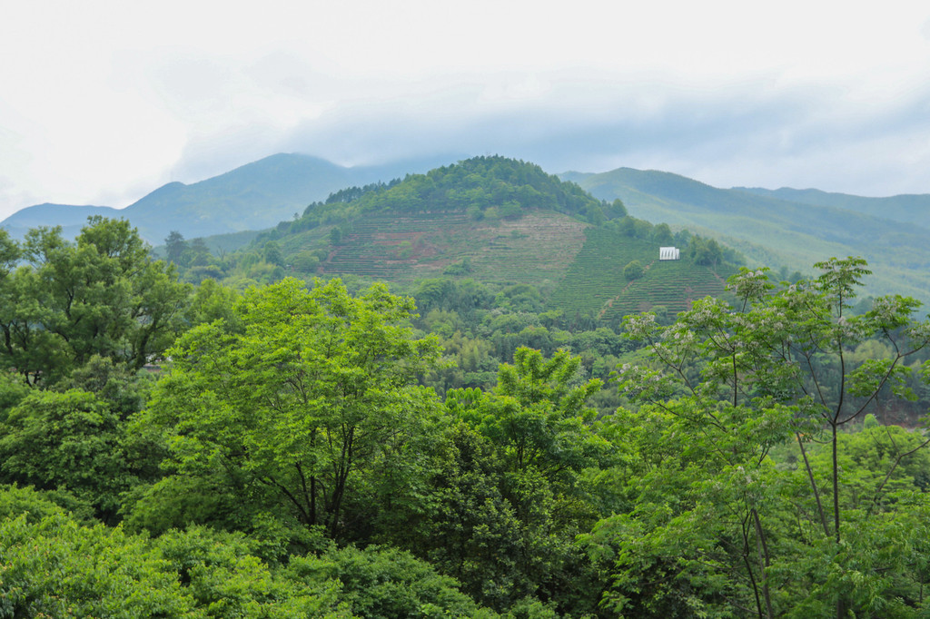 栈道旁的一处小卖部,度俯瞰山景,风光无限好.