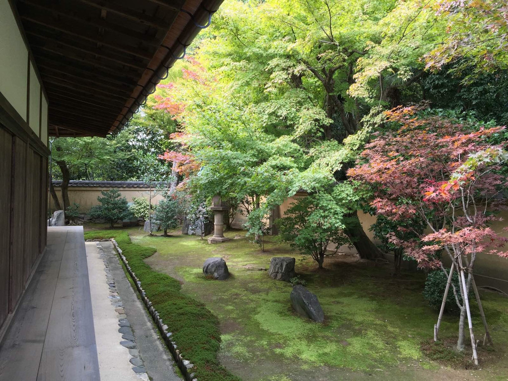 京都大德寺