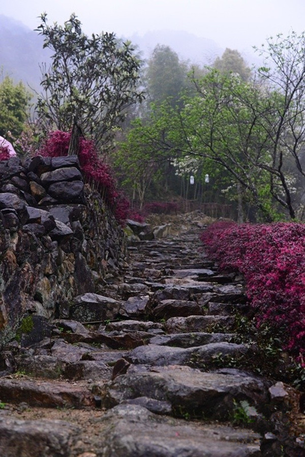 武夷山美丽乡村(一)-大山里的小故事(卜空)