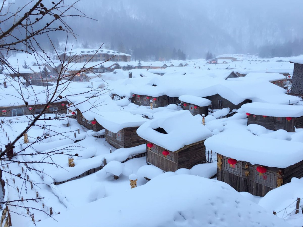 冬季到东北来看雪(第四天:穿越羊草山)