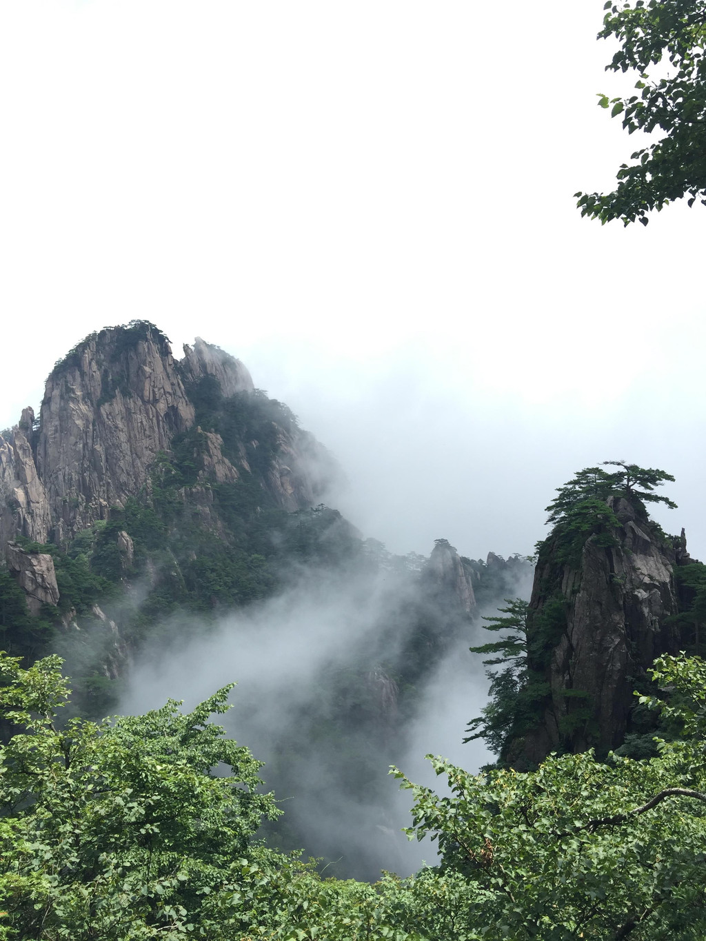 云谷景区