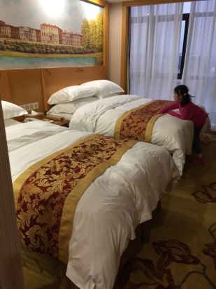维纳斯国际酒店(上海国际旅游度假区申江南路
