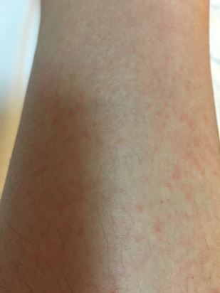 长春亚泰龙达饭店预订价格,联系电话\位置地址