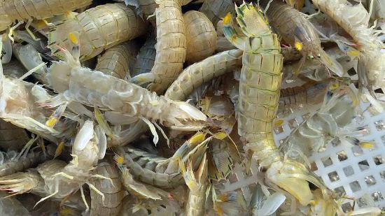 连云港海那边渔家乐旅馆预订价格,联系电话\位