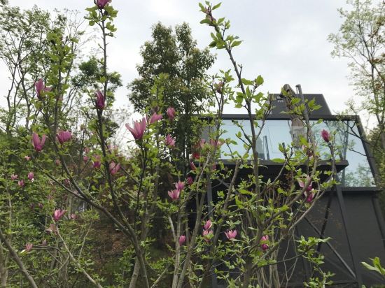 长沙县地球仓酒店(浔龙河店)预订价格,联系电话