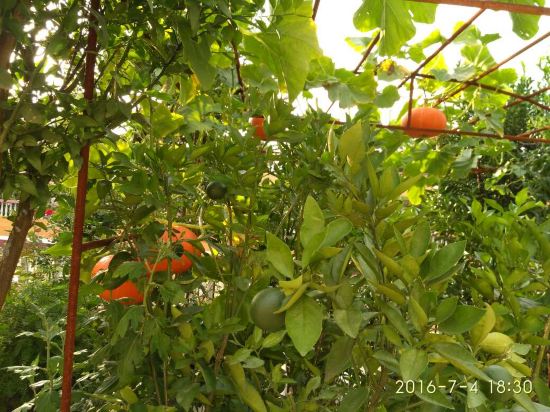 武汉新国博景观酒店预订价格,联系电话\位置地