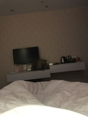 重庆威尔士酒店预订价格,联系电话\位置地址