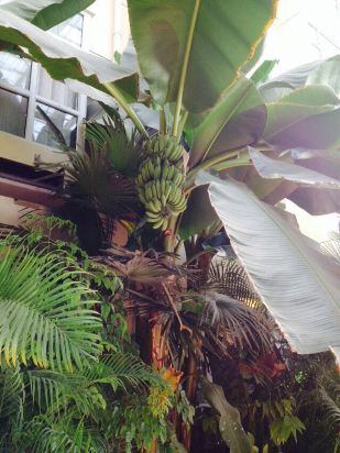 徐水大午温泉酒店怎么样\好不好\服务点评