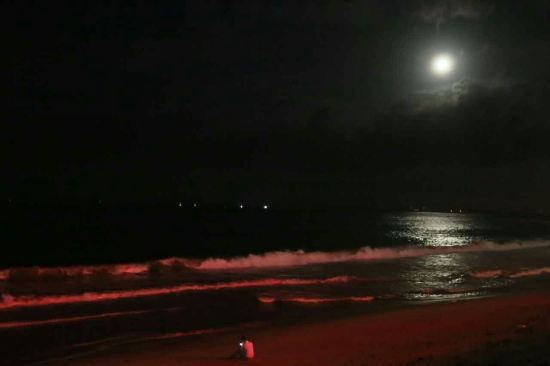 " style="color:#0066cc;cursor:pointer;">联系方式 南澳世纪海景大酒店坐享县城后宅镇海滨路黄金地段,沙滩海岸尽在咫尺,在房间即可尽览碧海长天一色之美景,地理位置极其优越。 酒店楼高17层,有各类客房、公寓260余间,房间宽敞舒适,装修清新、典雅。设有大小会议厅多个,中餐宴会厅配套齐全。 酒店距南澳跨海大桥仅20分钟车程,到达南澳主要景区:宋井、青澳湾、总兵府、雄镇关、风能电场等仅需10-30分钟,酒店毗邻海滨夜市、特色海产品批发