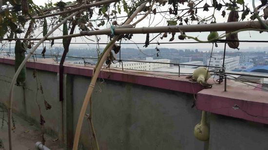 武汉新国博景观酒店预订价格,联系电话\位置地