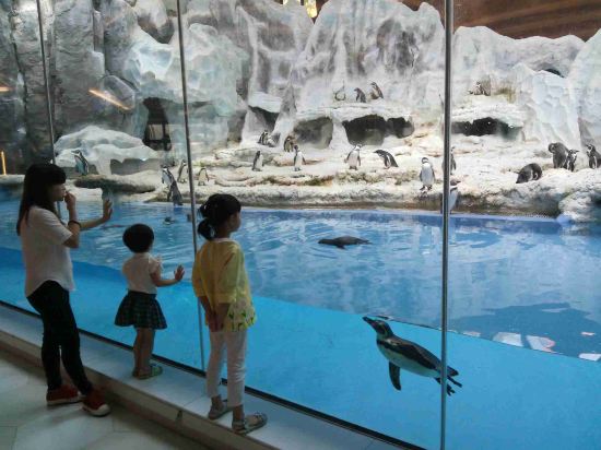 珠海长隆企鹅酒店预订价格,联系电话\位置地址