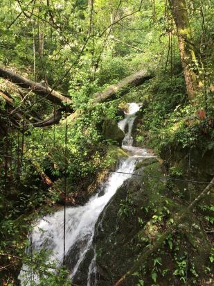 龙南九连山醉氧度假村