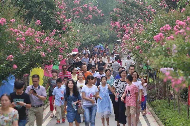 我的田园生态生活之旅——紫薇都市田园