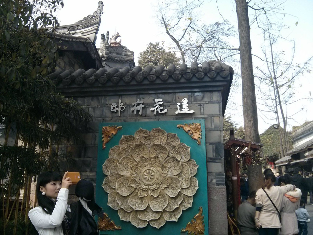                        莲花府邸