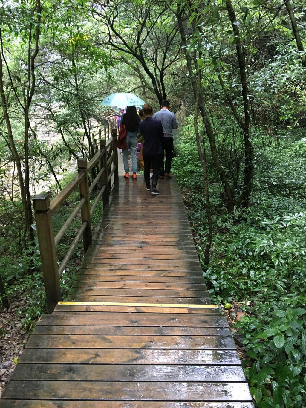                     景区木栈道