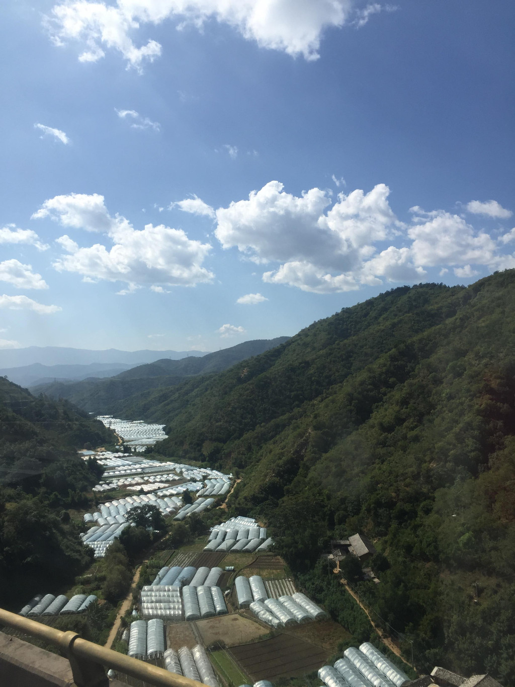 还是你太能装?--云南导游讲!