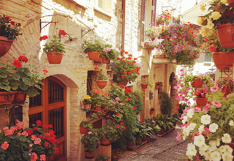 le infiorate di spello(鲜花小镇)