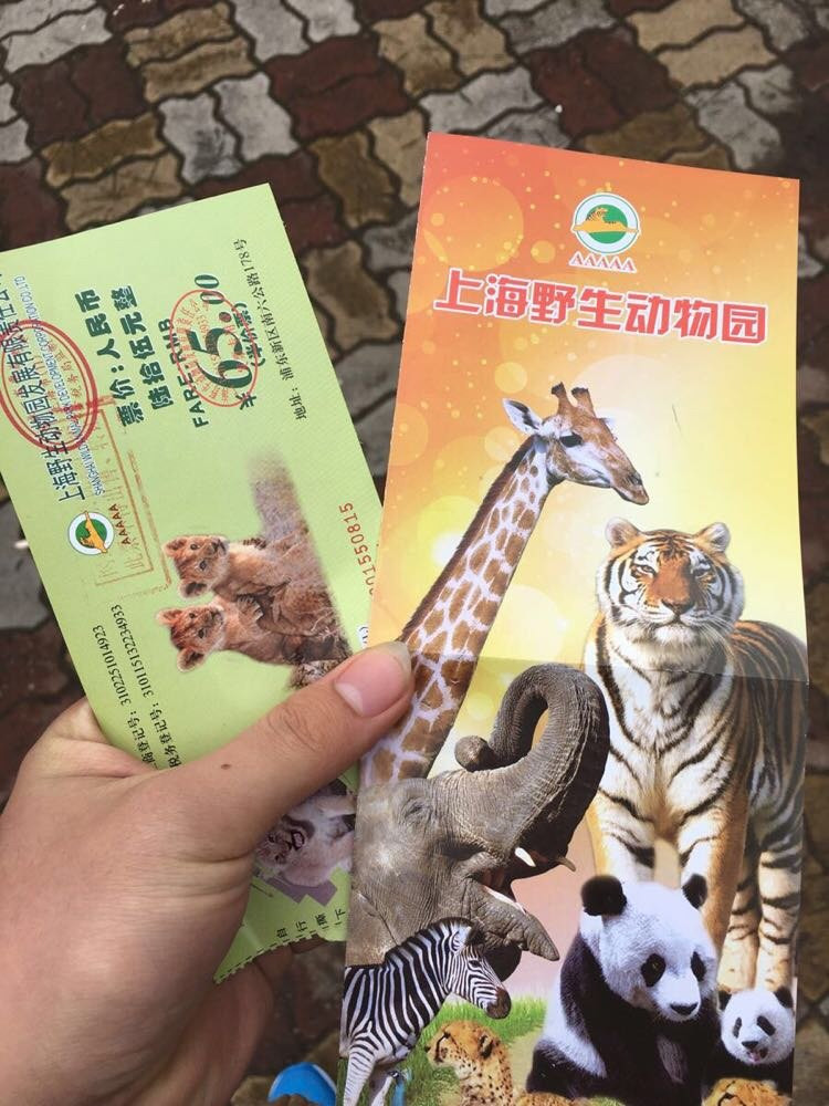 上海野生动物园一日深度游