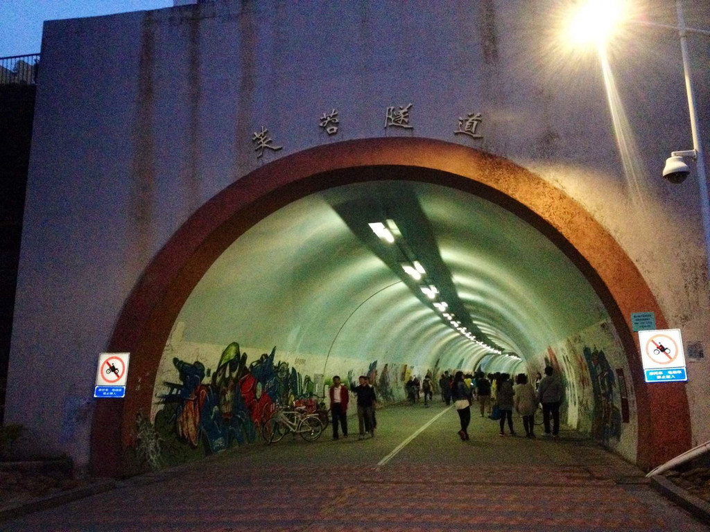 芙蓉隧道