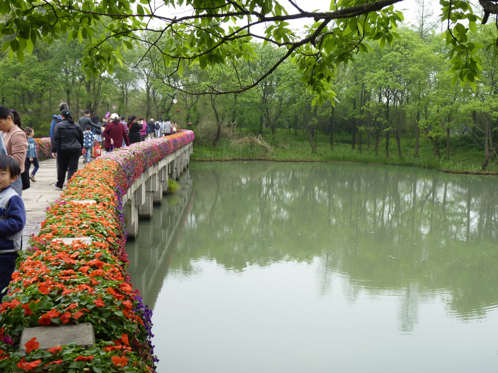 整个西溪湿地有三条堤:寿堤,福堤,绿堤,寿堤,福堤呈南北向纵贯湿地,而