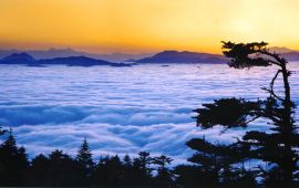 成都九峰山风景名胜区天气预报,历史气温,旅游