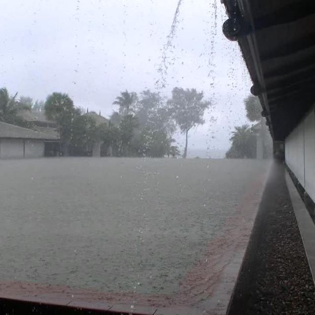 今天是出海的日子,然而大清早的我们就被外面瓢泼大雨的巨大声响给