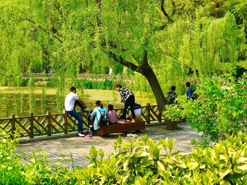 原来春天你这么美