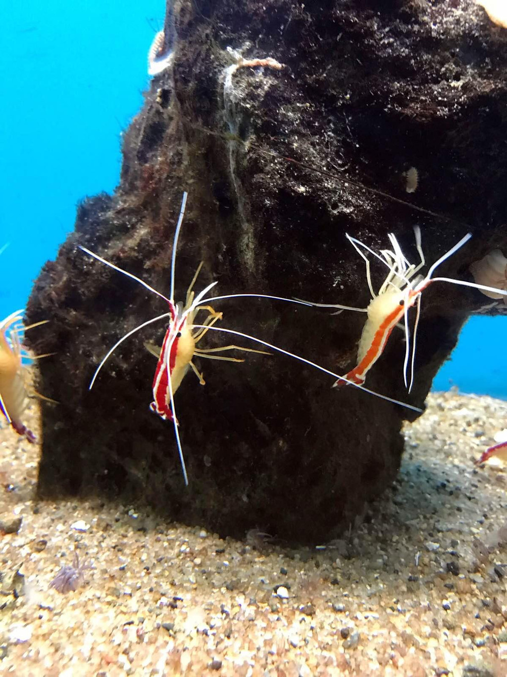 海水,沙漠 醉美越南四地游