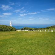 上海飞悉尼,港龙航空,香港转机,需要办理香港签