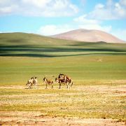 请问六月底北极村和阿里河的气温,穿什么衣服