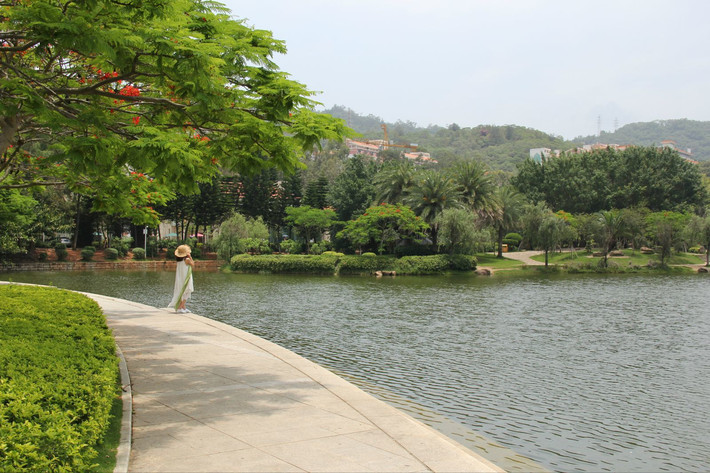 去鼓浪屿翻个墙