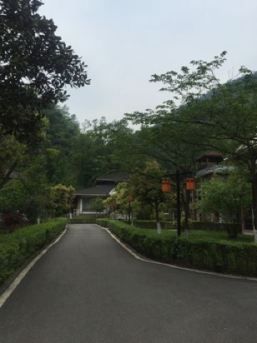 大邑花水湾樱花柏栎度假酒店(原花水湾中旅樱花宾馆)