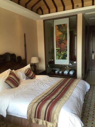 武夷山艾斯酒店(s hotel)
