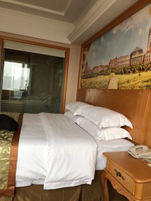 莱州维也纳酒店图片