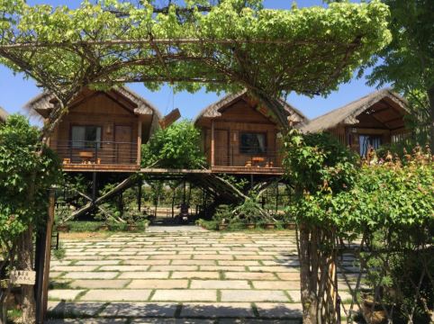 莫干山树野villa怎么样好不好服务点评【携程酒店】