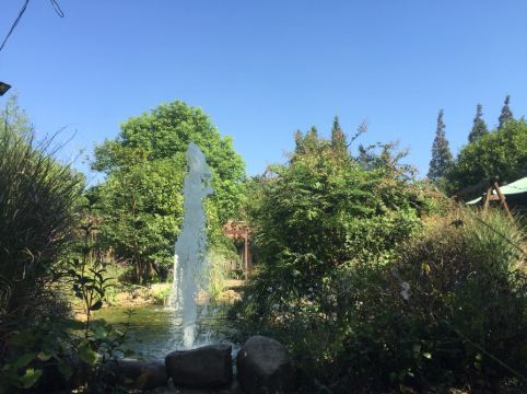 崇明西岸氧吧农家乐