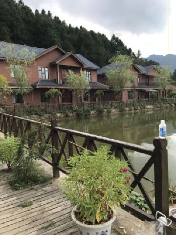 金寨小村落木屋别墅