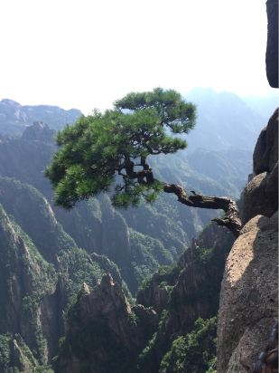 黄山有多少人口_让人 归来不看岳 的黄山,给你好看 附三日环线安排(3)