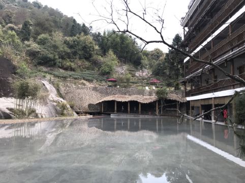 武夷山陶然有山